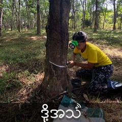 Episode 339:ပညာသင်ကြားခွင့်ဆုံးရှုံးနေကြတဲ့ထိုင်းကျေးလက်နေမြန်မာရွှေ့ပြောင်းကလေးများ