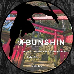 James McGeehan & ThedamnSam - Take Pics (FREE DOWNLOAD)