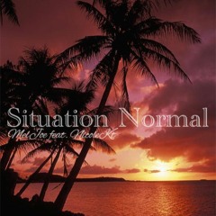Situation Normal (cover)
