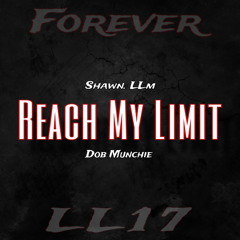 Reach My Limit (feat. Shawn. llm)