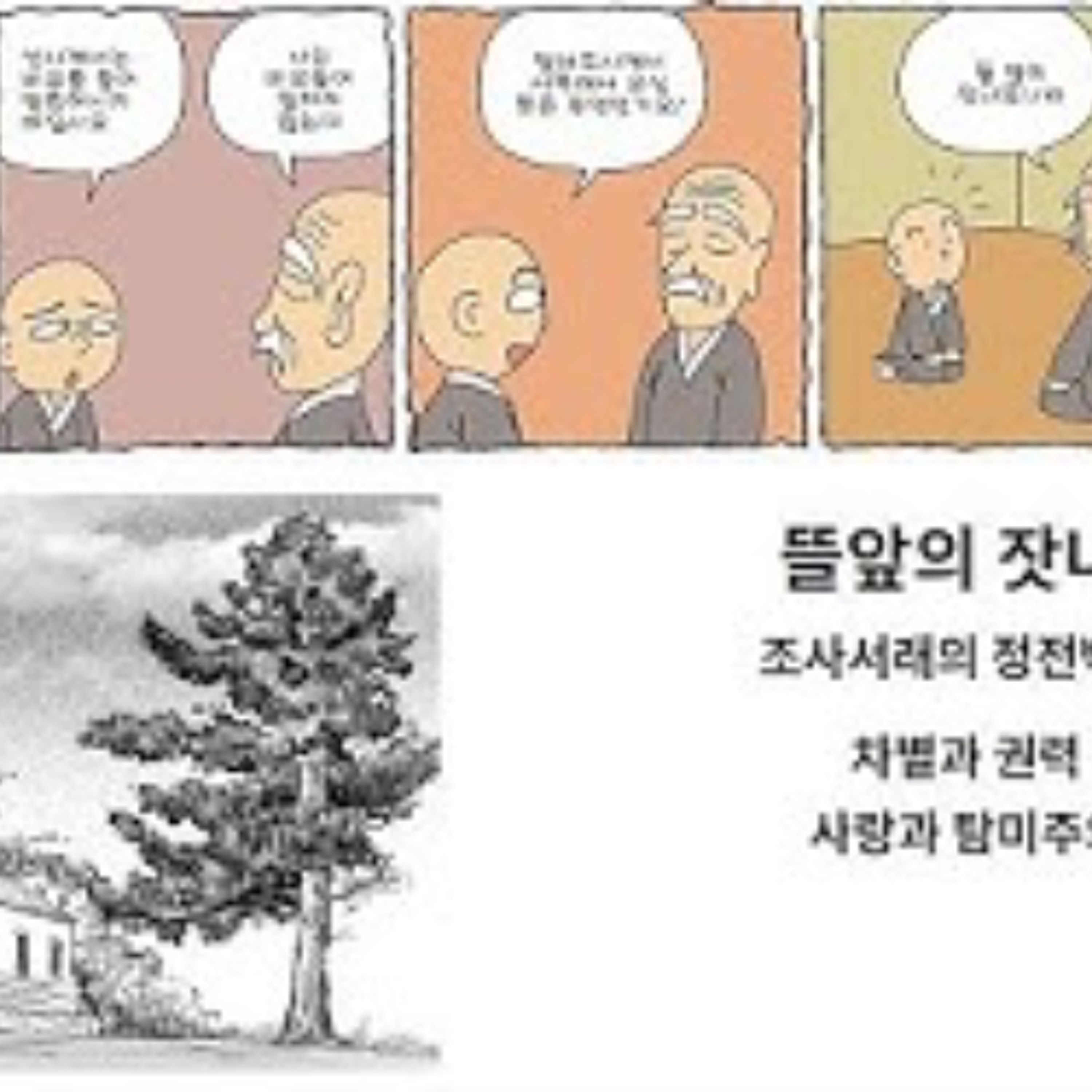 2025-07-13 구조론 제 80회 뜰앞의 잣나무 episode artwork