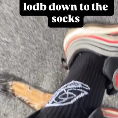 lodbsocks (ayeblood § lsj)