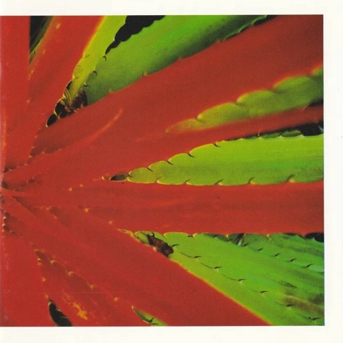 jejune - fixed on the one (1998)
