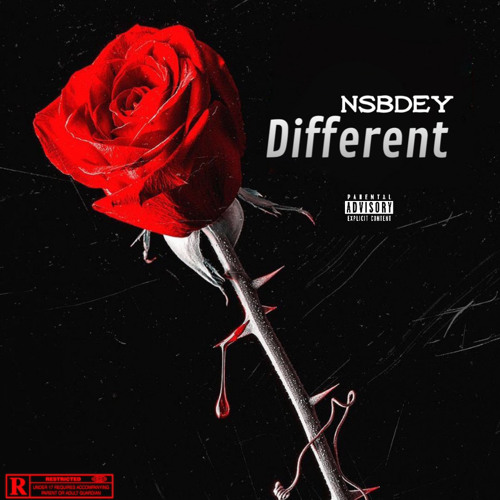 Nsbdey - Different