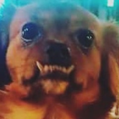 DiddiTek  - Bring the pétou  (Bottom Line/Pétou Freestyle hardtek mashup)