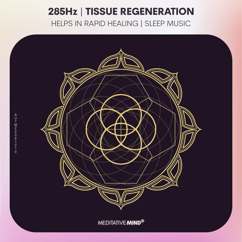 Stream 285Hz | Helps in Tissue Regeneration & Rapid Healing | Music for  Sleep | Solfeggio Sleep Music by Meditative Mind | Listen online for free  on SoundCloud