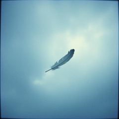 Silent Gravity