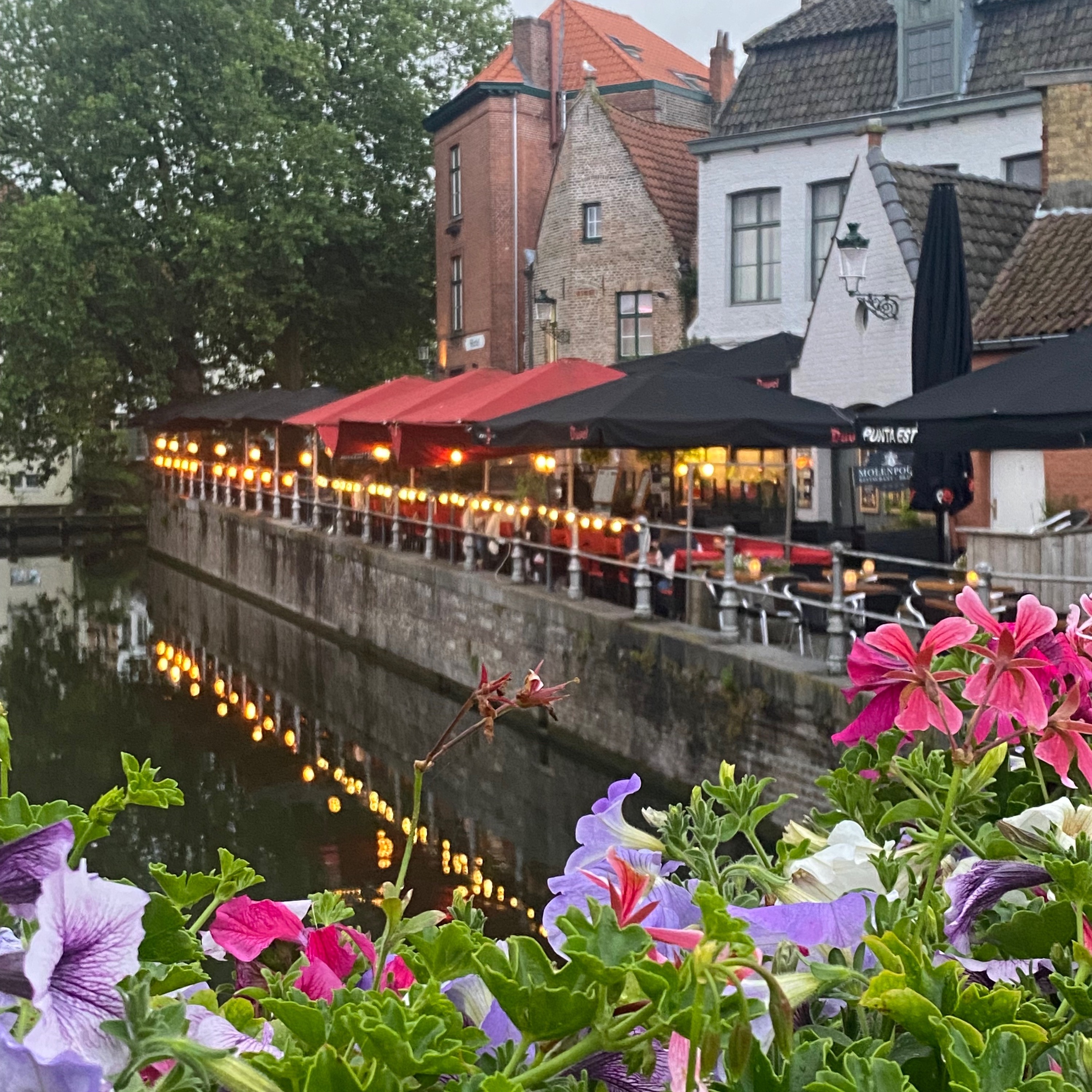 Quattro Stagioni 161 - Vacanze (parte 1)