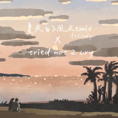 夏天的風remix ft.Cindy X tried not 2 cry