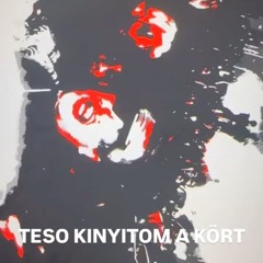 Grasa-TESO KINYITOM A KÖRT