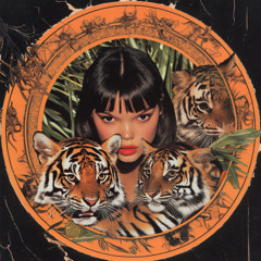 Disaster Snake - Tiger Puppies
