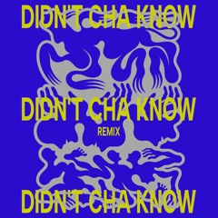 Didn't Cha Know (remix)