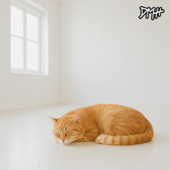 Fireworks - 11_12_25, 4.05 PM