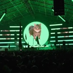 OIIA OIIA (Fernando Caneo, Vesk Green EDIT)