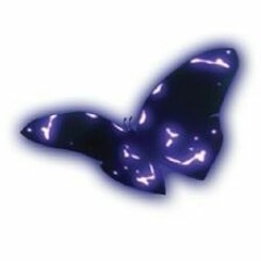 Butterflies Edit Audio By: Me