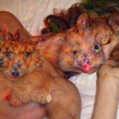 This is... LUST... and there's nothing stronger :)