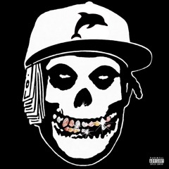 Houstodmvflo