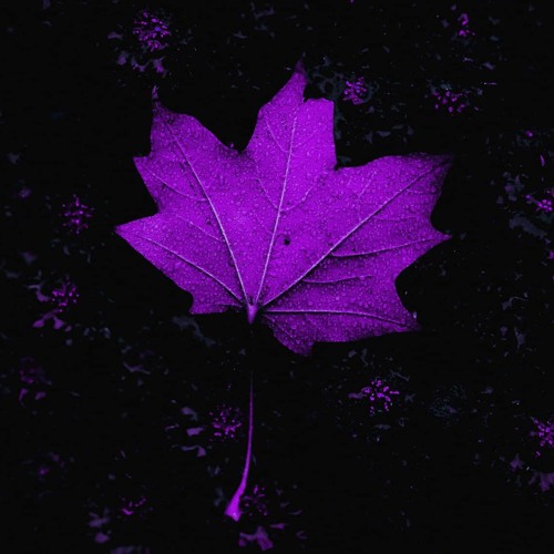 cant be the only one [free beat]