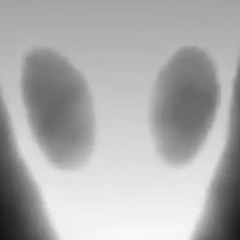 Only the best songs ever