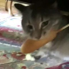 control - playboi carti (lil soda boi remix)