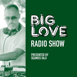Big Love Radio Show - August 2026 - Mark Picchiotti Big Mix