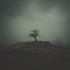 r o b e r t m u n s c h