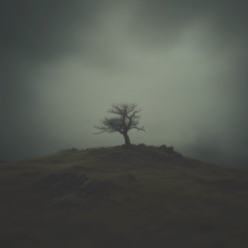 r o b e r t m u n s c h