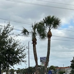 toomuxhhateplookslikelowtyde.m4a