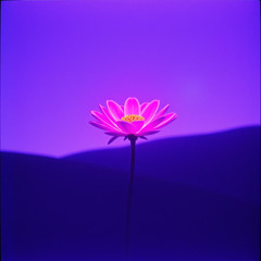 Electric Flower