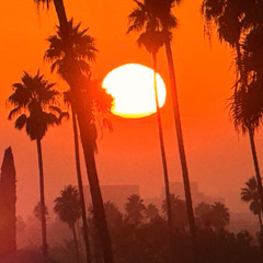 WHEREISMYMIND (vivokiddie)