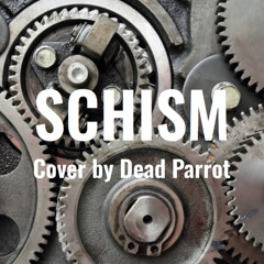 Schism (Tool Cover)