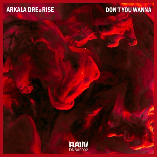 Arkala Dre X Rise - Don't You Wanna