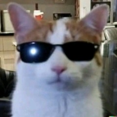 lilbubblegum - af1 (instrumental) sped up