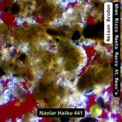 Nelson Brodon - When Micro Meets Macro At Meso's (NaviarHaiku 441)
