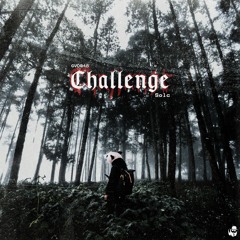 GVD046: Solc - Challenge