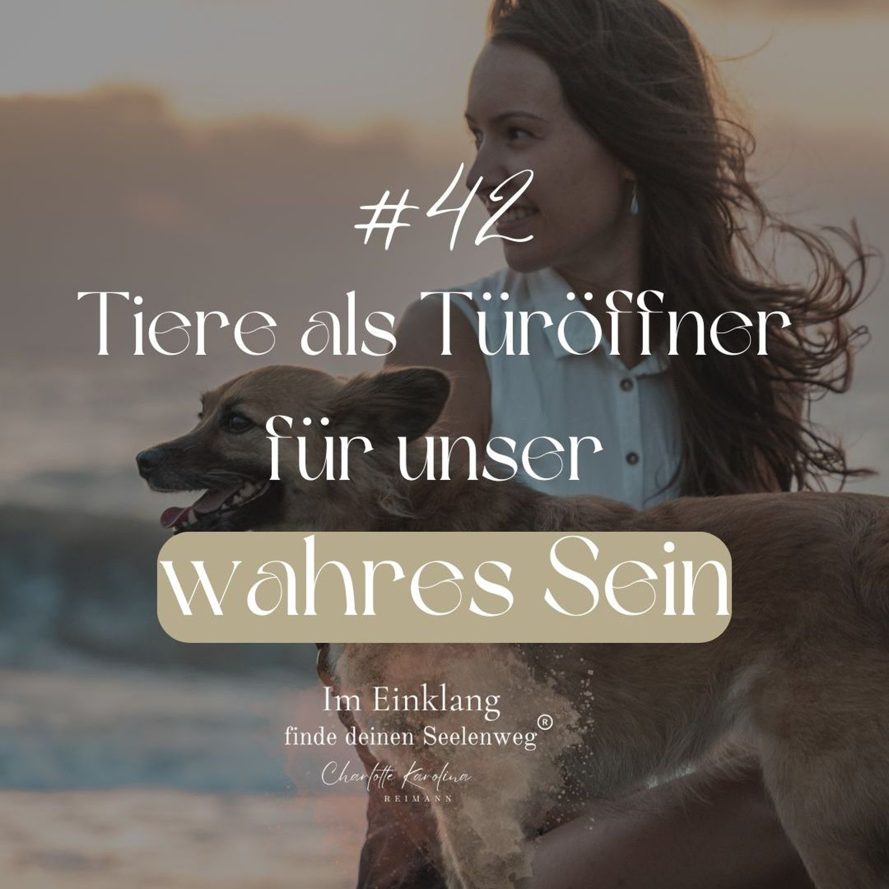 Im Einklang - finde Deinen Seelenweg