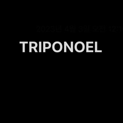 바보-노엘