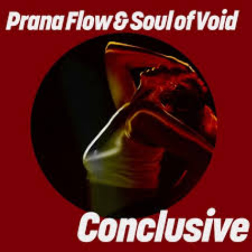 Prana Flow & Soul Of Void - Conclusive