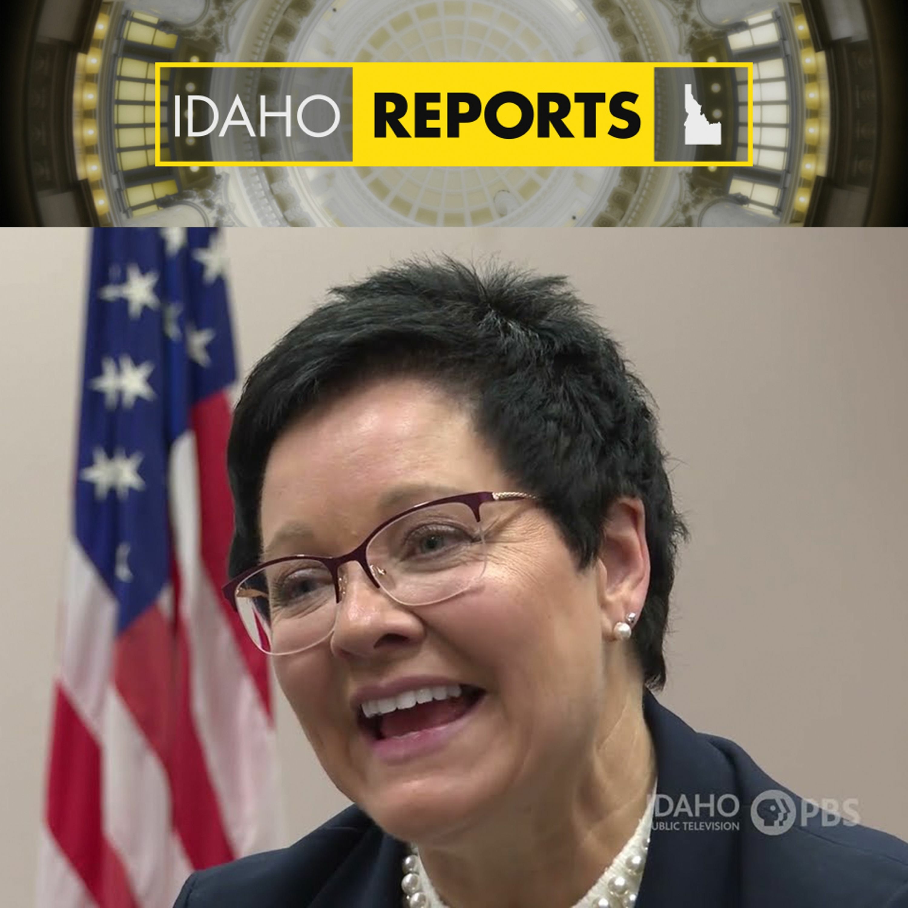 Extra: Wildland Urban Interface with U.S. Fire Administrator Lori Moore-Merrell episode artwork