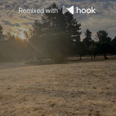 Randy Rogers Band - Break Itself (@luckycharm Hook Remix)