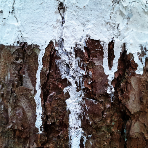 long long time(ldsr217)