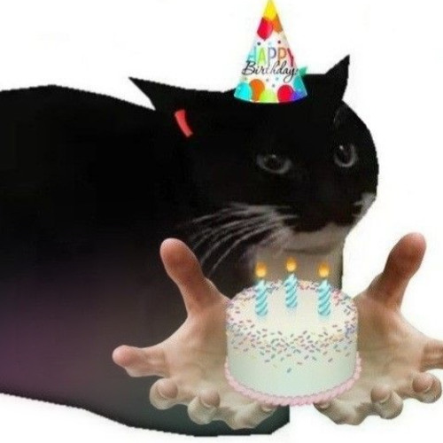 KONNACT - BIRTHDAY SET