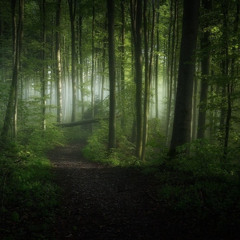 литература 9 класса ft.imbenzen