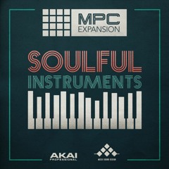 The Soulful Instruments Demo 2