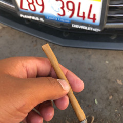 Borimex (*****’s Story)