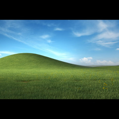 Windows Xp