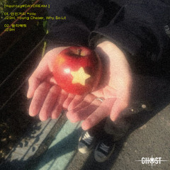 안전거리