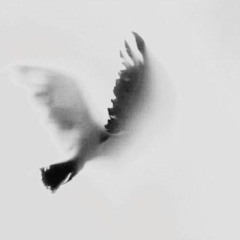 وَمِن آياتِهِ أَن خَلَقَ لَكُم مِن أَنفُسِكُم أَزواجًا لِتَسكُنوا إِلَيها