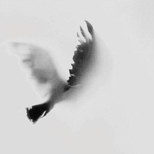 وَمِن آياتِهِ أَن خَلَقَ لَكُم مِن أَنفُسِكُم أَزواجًا لِتَسكُنوا إِلَيها