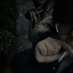 whitenoiseシ